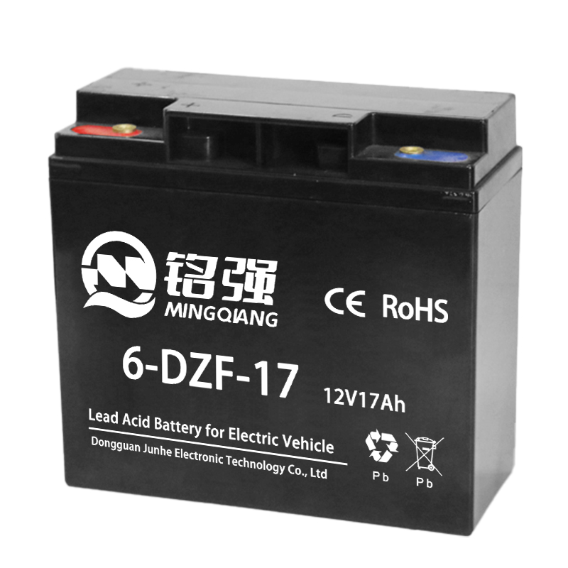 6-DZF-17 电动车电池