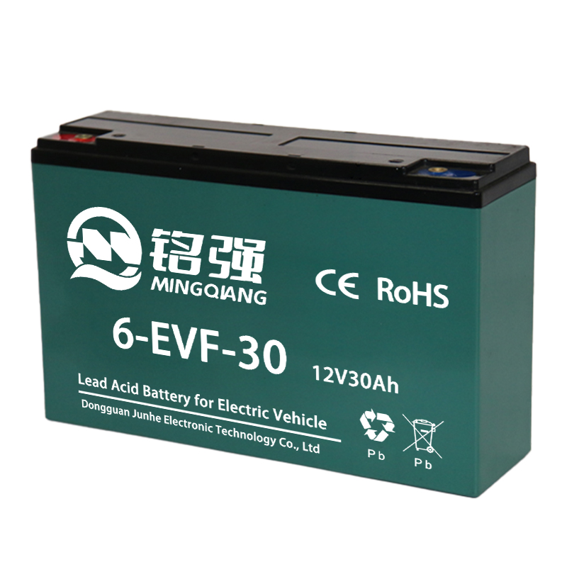 6-EVF-30 电动车电池