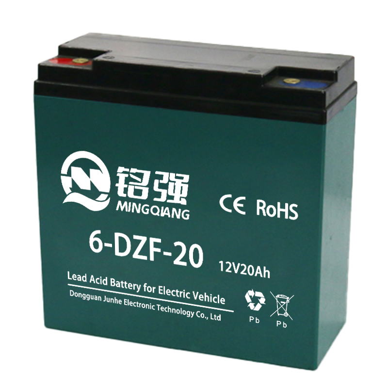 6-DZF-20 电动车电池