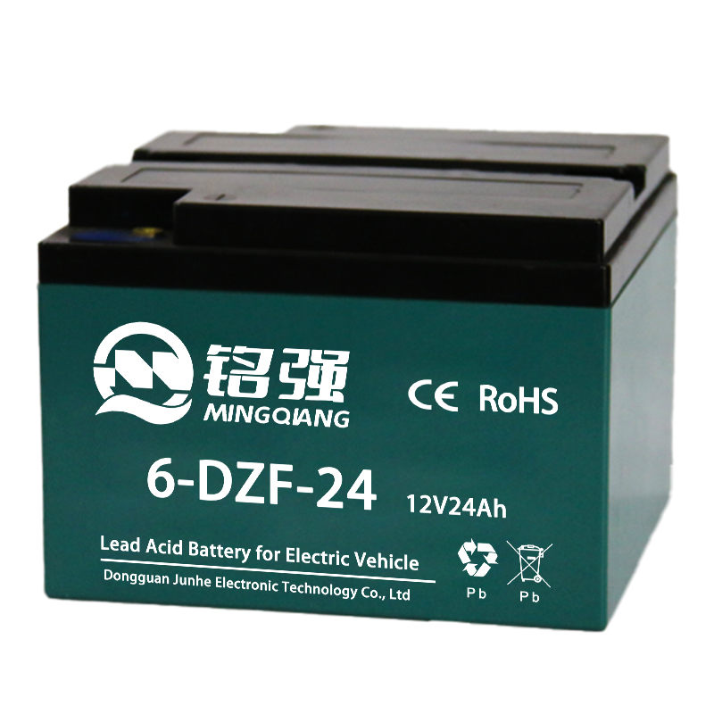 6-DZF-24 电动车电池
