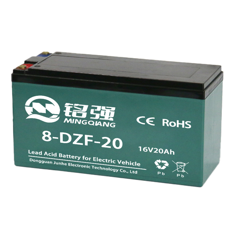 8-DZF-20 电动车电池
